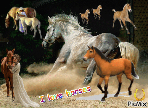 I love horses - GIF animé gratuit