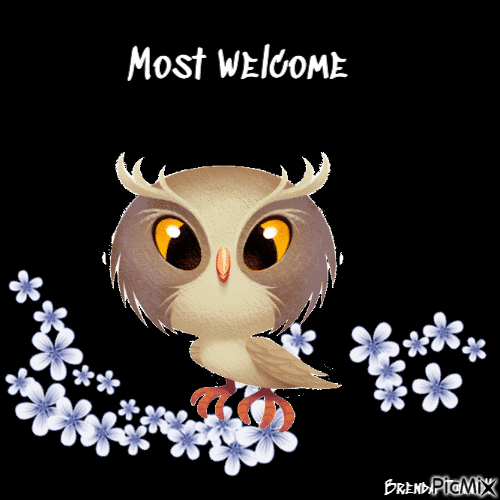 most welcome owl - Nemokamas animacinis gif