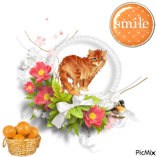 Smile Its National Orange Day - 免费PNG