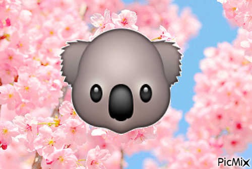 Emoji Koala - фрее пнг