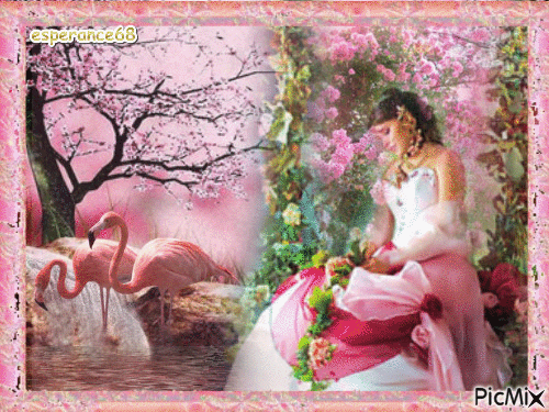 Flamingo & woman - Gratis geanimeerde GIF