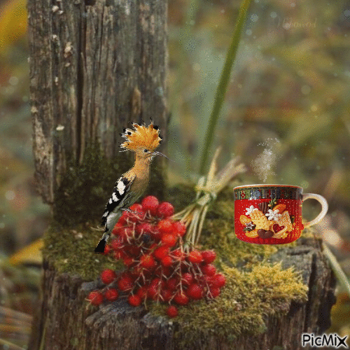 Autumn day - Бесплатный анимированный гифка