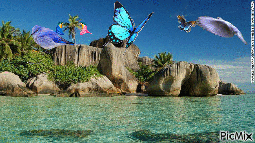 Seychelles - Bezmaksas animēts GIF