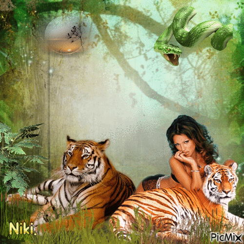 La femme et ses tigres - Free animated GIF