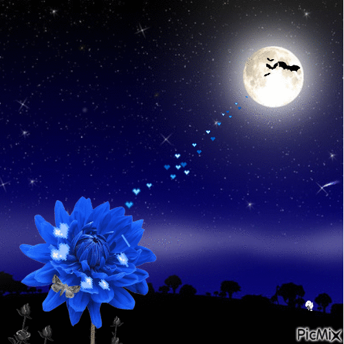 blue dahlia - Darmowy animowany GIF