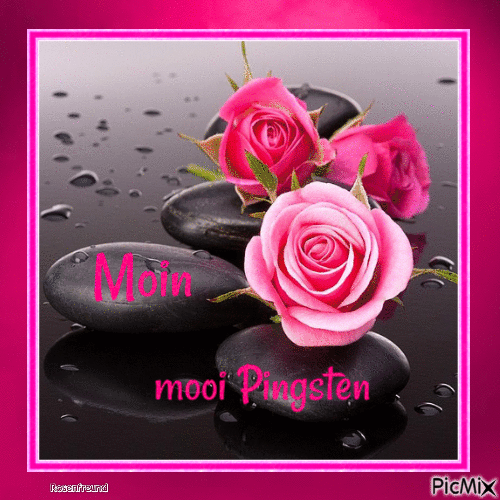 Moin mooi Pingsten - Безплатен анимиран GIF