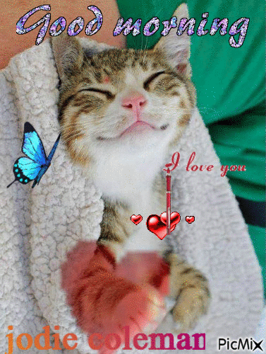 good morning kitty 1-12 - GIF animasi gratis