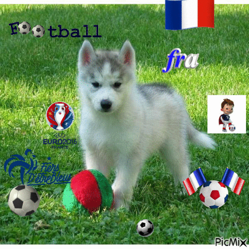 football france euro 2016 - GIF animasi gratis