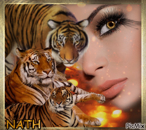 la beauté du tigre - GIF animasi gratis