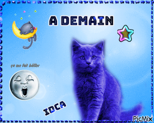 A Demain les chatons - Ücretsiz animasyonlu GIF