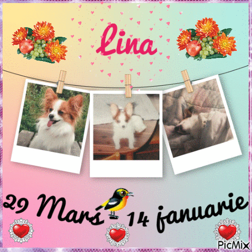 Lina 1 år sen - Ingyenes animált GIF