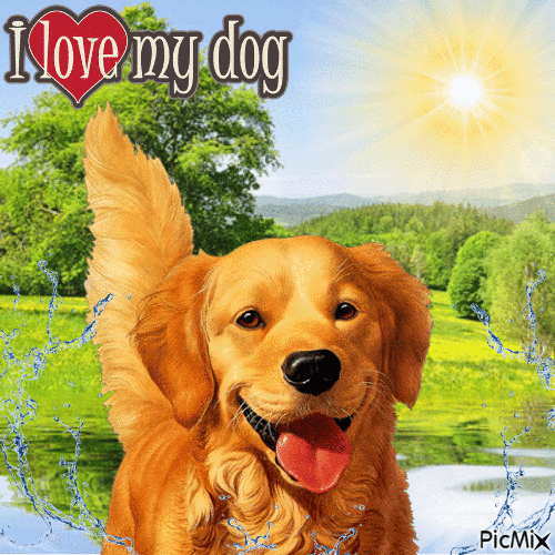 I Love My Dog - GIF animé gratuit