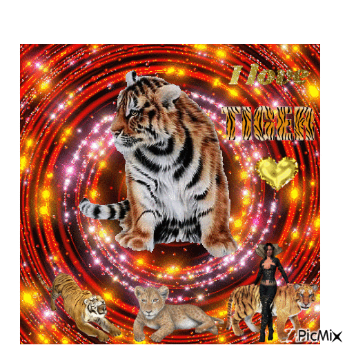 I love tiger - Безплатен анимиран GIF