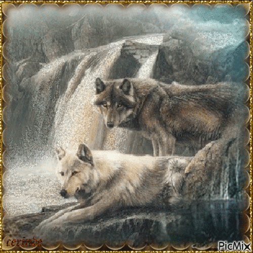 Peinture de loups - Δωρεάν κινούμενο GIF