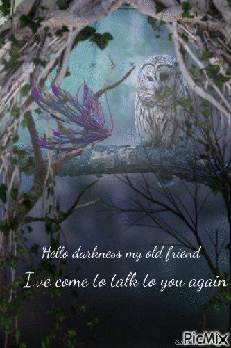 OWL QUOTE - Free animated GIF