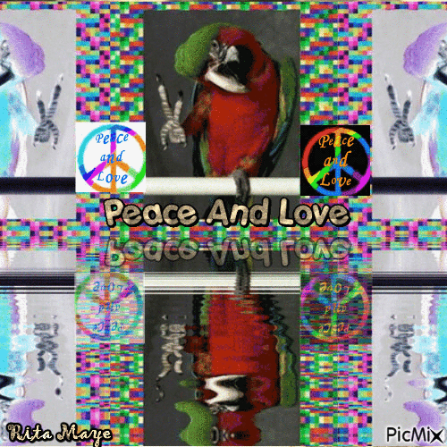 Peace Parrots - Безплатен анимиран GIF