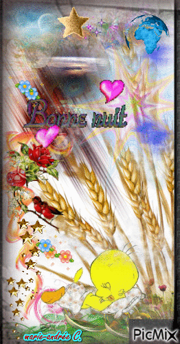 * Un épi de blé -- " Bonne nuit " * - 免费动画 GIF