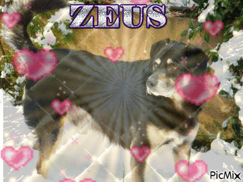 ZEUS - 無料のアニメーション GIF