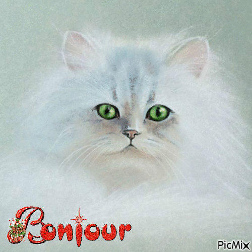 joli chat aux yeux vert - GIF animate gratis
