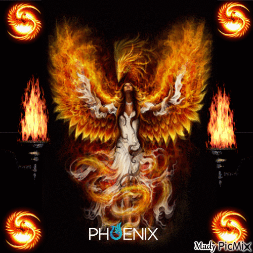Phoenix - GIF animé gratuit