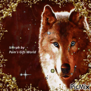Wolf Face color Morph - GIF animé gratuit