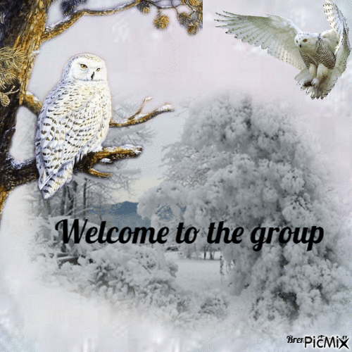 welcome owl winter - GIF animé gratuit