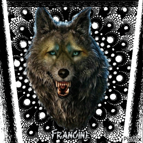 Le loup 🐺🐺🐺 - GIF animado grátis
