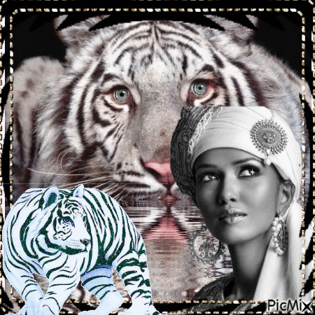 Tigre blanc - Ilmainen animoitu GIF