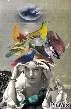 Más que pájaros en la cabeza - GIF animé gratuit