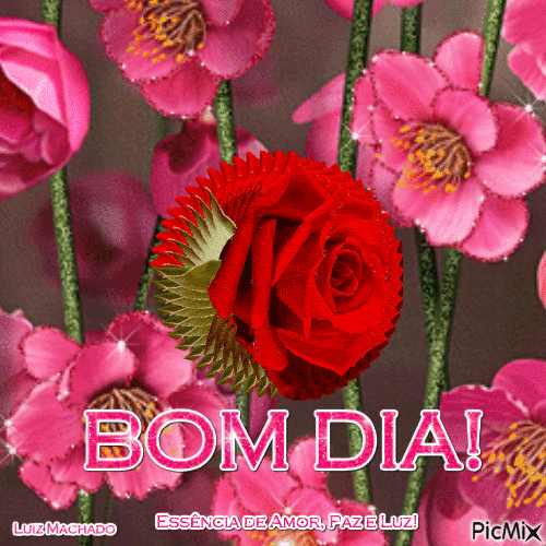 Bom Dia! - Бесплатный анимированный гифка