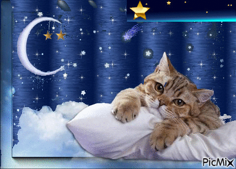 Good night kitty - Ingyenes animált GIF