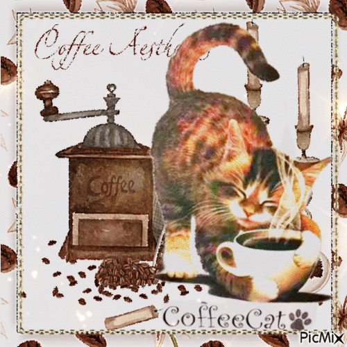 Ein Kaffee mit einer Katze - Gratis geanimeerde GIF