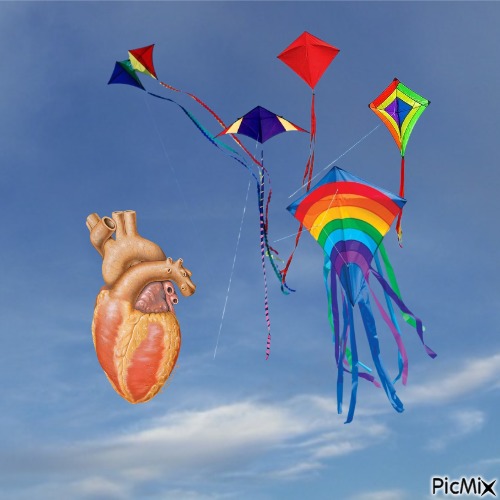 all my kites - PNG gratuit