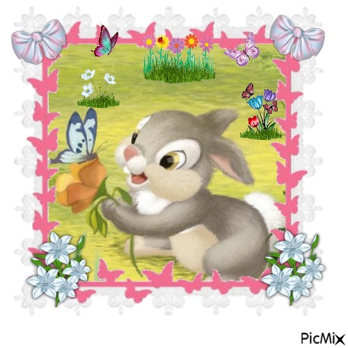 Thumper n The Butterfly - ilmainen png