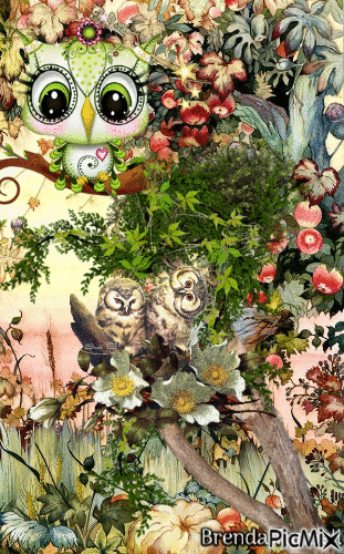 owl - Gratis animeret GIF
