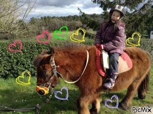 mon poney - GIF animado grátis