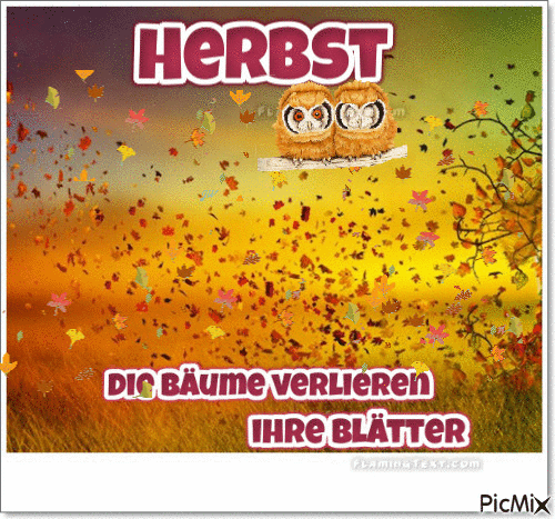 herbst - Zdarma animovaný GIF