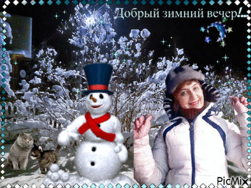 Добрый зимний вечер! - 免费动画 GIF