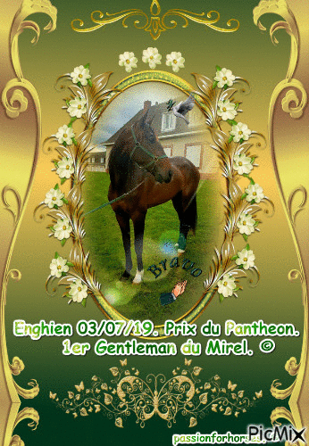 Le champion Gentleman du Mirel. © - 免费动画 GIF