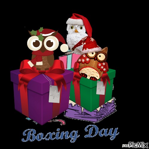 boxing day owl - ücretsiz png