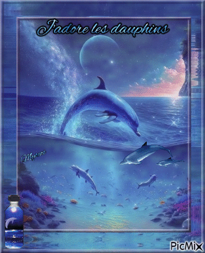 J'adore les dauphins - GIF animé gratuit