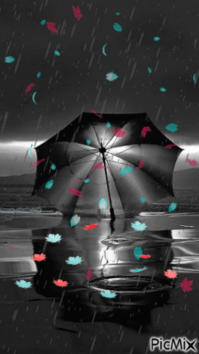 Rainy Day - GIF เคลื่อนไหวฟรี