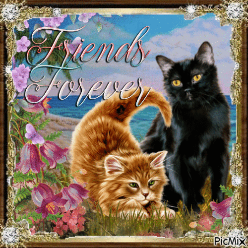 friends 4ever - Free animated GIF
