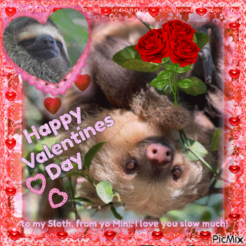 Sloth Valentines Greeting - GIF animé gratuit