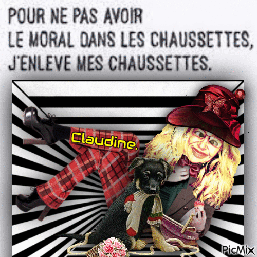 La Moralité Des Chaussettes! - 無料のアニメーション GIF