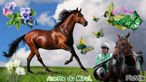 La championne Anette du Mirel. - GIF animate gratis