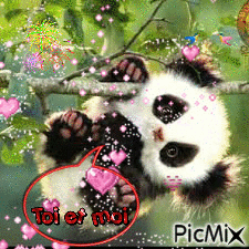 Panda - Besplatni animirani GIF