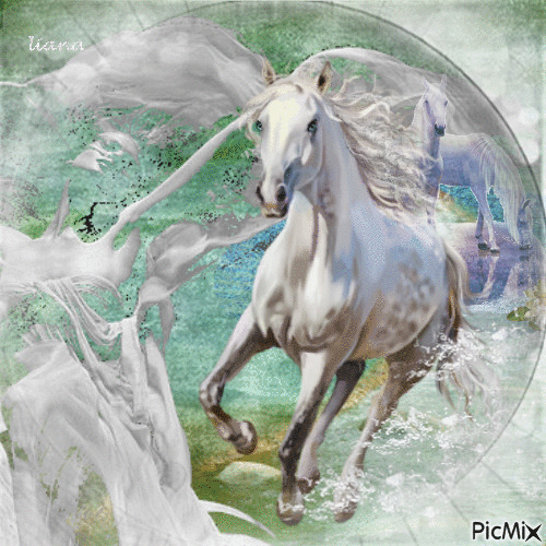 white horse - 無料のアニメーション GIF