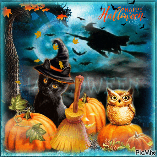 Halloween cat - Ingyenes animált GIF