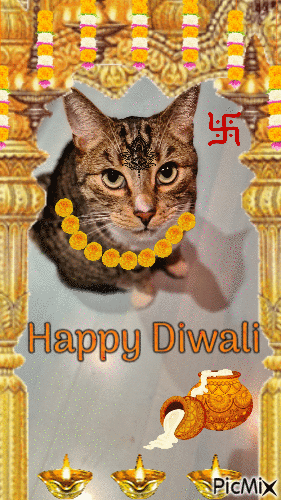 Diwali - Gratis animeret GIF